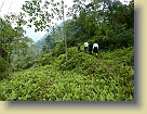 Sikkim-Mar2011 (150) * 3648 x 2736 * (6.29MB)